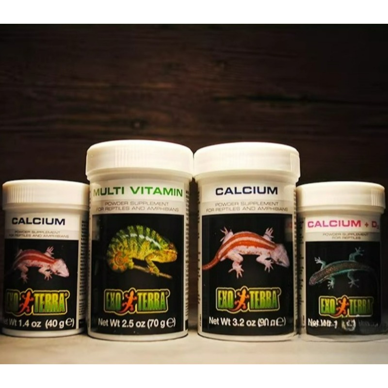HAGEN Kalcjowy Proszek dla Gad – Vitamin D3 Reptile recenzja i cena