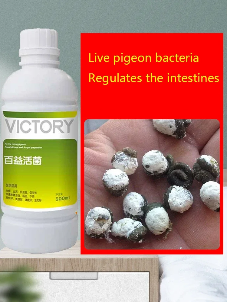 500ml Probiotyki dla gołębi wy – Vitamin D3 Reptile recenzja i cena
