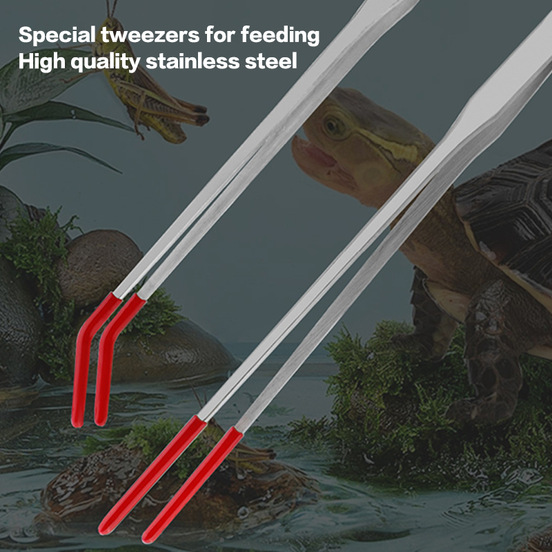 Szczypce do karmienia gadów ze – Feeding Tong Stainless recenzja i cena