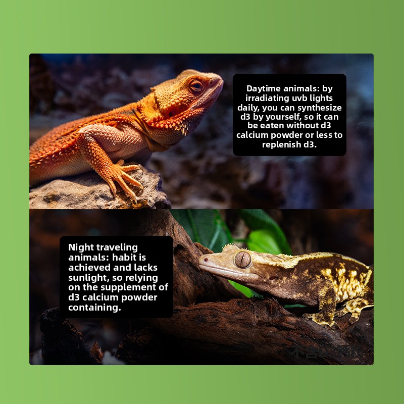 Reptizoo Reptile Calcium Powde – Vitamin D3 Reptile recenzja i cena