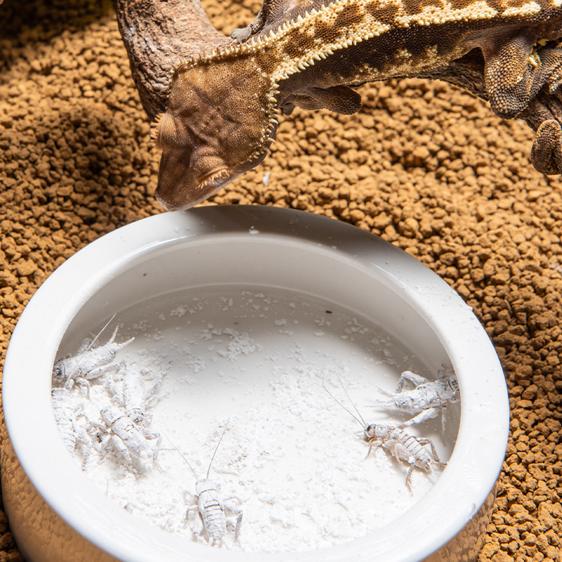 SuperRep Reptile Calcium Pro-V – Vitamin D3 Reptile recenzja i cena